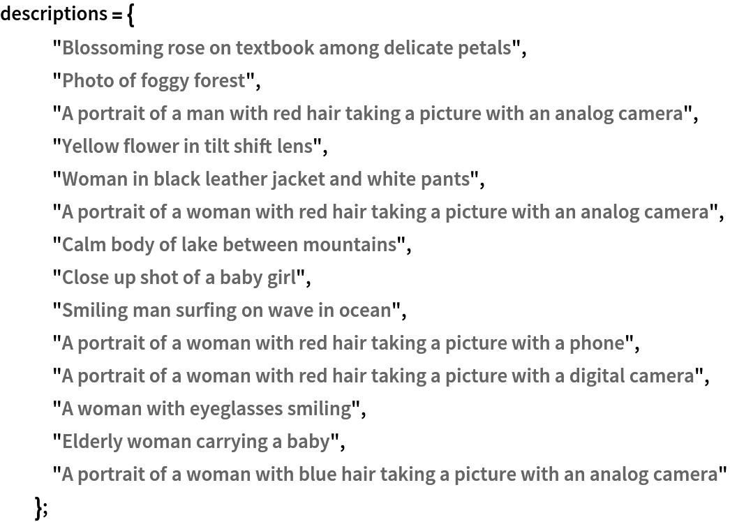 descriptions = {
   "Blossoming rose on textbook among delicate petals",
   "Photo of foggy forest",
   "A portrait of a man with red hair taking a picture with an analog camera",
   "Yellow flower in tilt shift lens",
   "Woman in black leather jacket and white pants",
   "A portrait of a woman with red hair taking a picture with an analog camera",
   "Calm body of lake between mountains",
   "Close up shot of a baby girl",
   "Smiling man surfing on wave in ocean",
   "A portrait of a woman with red hair taking a picture with a phone",
   "A portrait of a woman with red hair taking a picture with a digital camera",
   "A woman with eyeglasses smiling",
   "Elderly woman carrying a baby",
   "A portrait of a woman with blue hair taking a picture with an analog camera"
   };