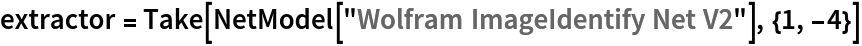 extractor = Take[NetModel["Wolfram ImageIdentify Net V2"], {1, -4}]