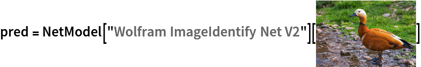 (* Evaluate this cell to get the example input *) CloudGet["https://www.wolframcloud.com/obj/315d9c51-6cf4-4811-814a-c1db3aaacab7"] 