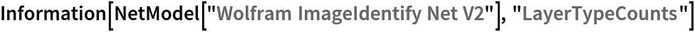 Information[
 NetModel["Wolfram ImageIdentify Net V2"], "LayerTypeCounts"]