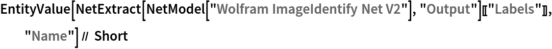 EntityValue[
  NetExtract[NetModel["Wolfram ImageIdentify Net V2"], "Output"][[
   "Labels"]], "Name"] // Short
