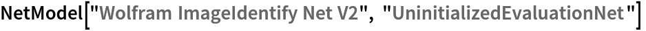 NetModel["Wolfram ImageIdentify Net V2", "UninitializedEvaluationNet"] 