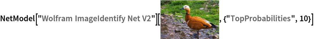 (* Evaluate this cell to get the example input *) CloudGet["https://www.wolframcloud.com/obj/cdab1fc8-82c3-4921-8eca-ede5b1ebea1c"] 