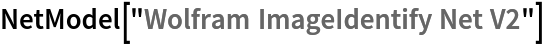 NetModel["Wolfram ImageIdentify Net V2"]