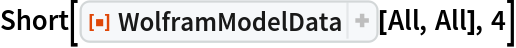 Short[ResourceFunction["WolframModelData"][All, All], 4]