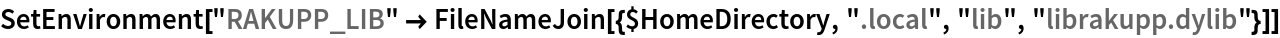 SetEnvironment[
 "RAKUPP_LIB" -> FileNameJoin[{$HomeDirectory, ".local", "lib", "librakupp.dylib"}]]