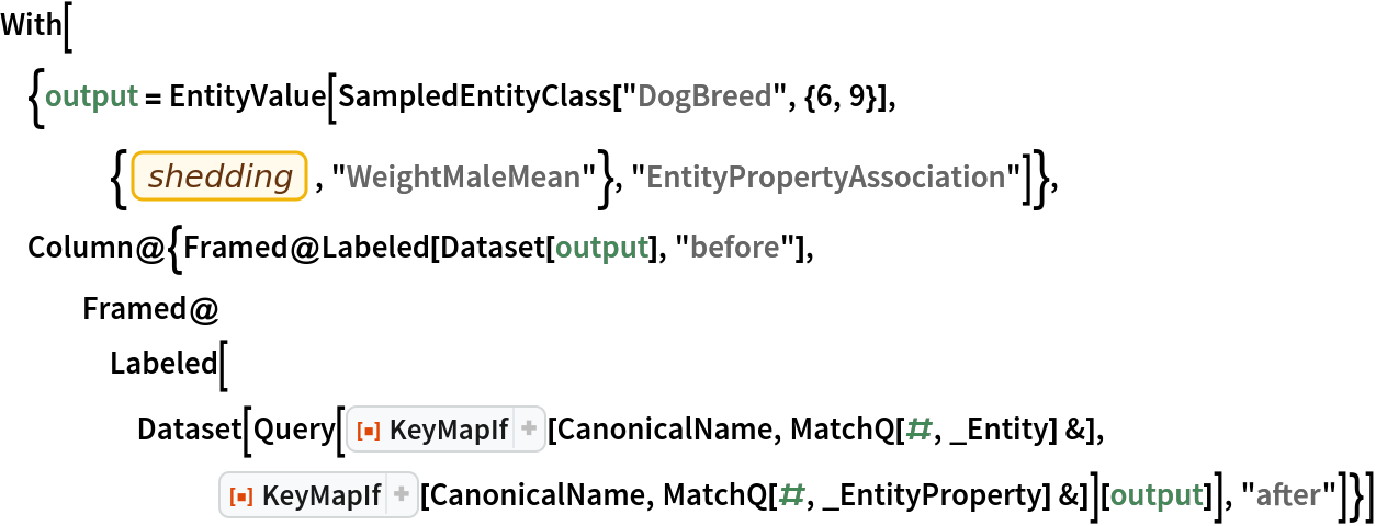 With[{output = EntityValue[
    SampledEntityClass[
     "DogBreed", {6, 9}], {EntityProperty["DogBreed", "Shedding"], "WeightMaleMean"}, "EntityPropertyAssociation"]}, Column@{Framed@Labeled[Dataset[output], "before"], Framed@Labeled[
     Dataset[Query[
        ResourceFunction["KeyMapIf"][CanonicalName, MatchQ[#, _Entity] &], ResourceFunction["KeyMapIf"][CanonicalName, MatchQ[#, _EntityProperty] &]][output]], "after"]}]