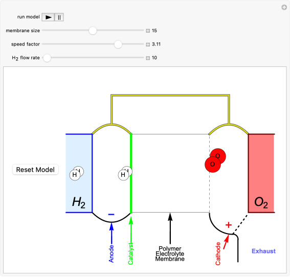 ◆【HYDROGEN×FRANK(ハイドロゲン×フランク)/大人の休日に最適な快適スカルプリントストレッチジャージーパーカー】[hdg1891181] HFACTOR Hydrogen Water \u2013 HFactor Hydrogen Water