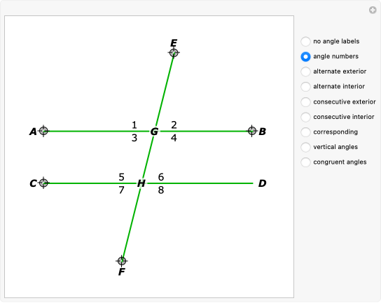 Vertical Parallel Angles Vertical Angles On A Transversal Pin On Geometry