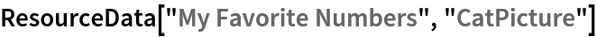 ResourceData["My Favorite Numbers", "CatPicture"]