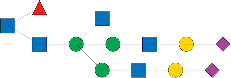 Computational Glycan Mapping for Down Syndrome–Associated IgG Glycosylation