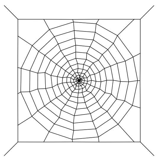 Dynamic Modeling of a 2D Spiderweb's Elastic Behavior